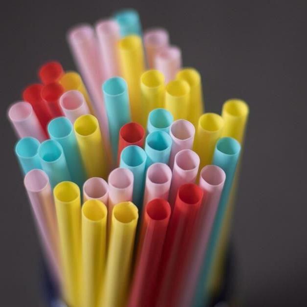 Federal Court quashes cabinet order underlying single-use plastics ban